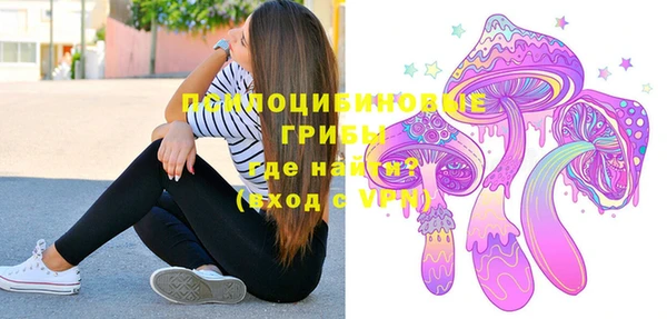 тгк Бежецк