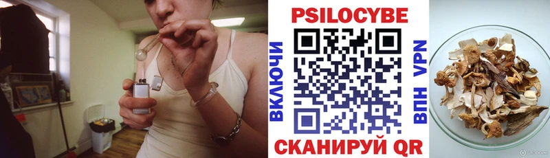 Галлюциногенные грибы Psilocybine cubensis  Бугуруслан 