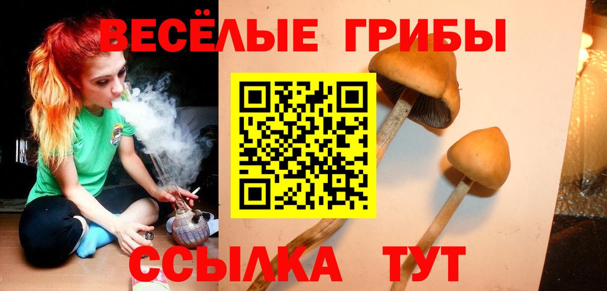 Галлюциногенные грибы прущие грибы Бугуруслан