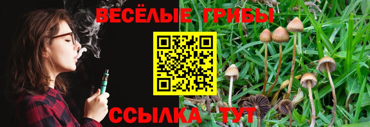 Бугуруслан  Псилоцибиновые грибы ЛСД  Галлюциногенные грибы ЛСД  Вход с VPN 